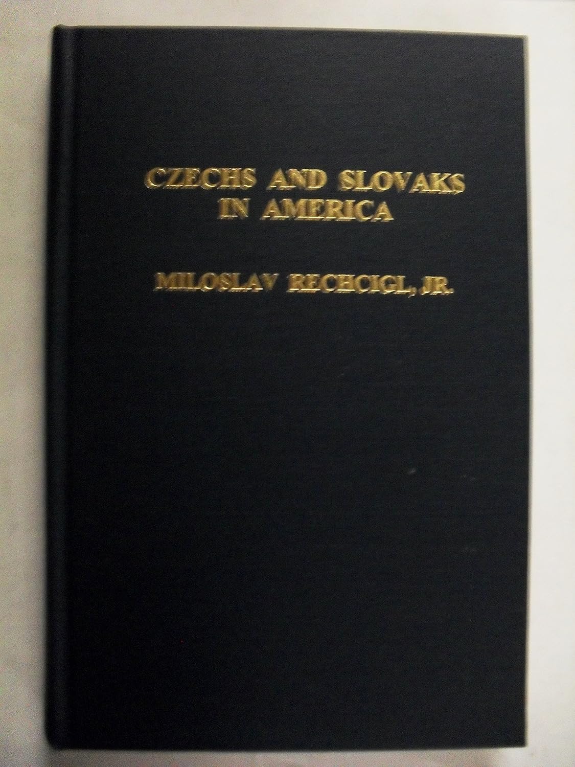 Cover of Czechs and Slovaks in America